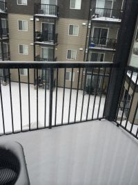 King Street 2304-7901 